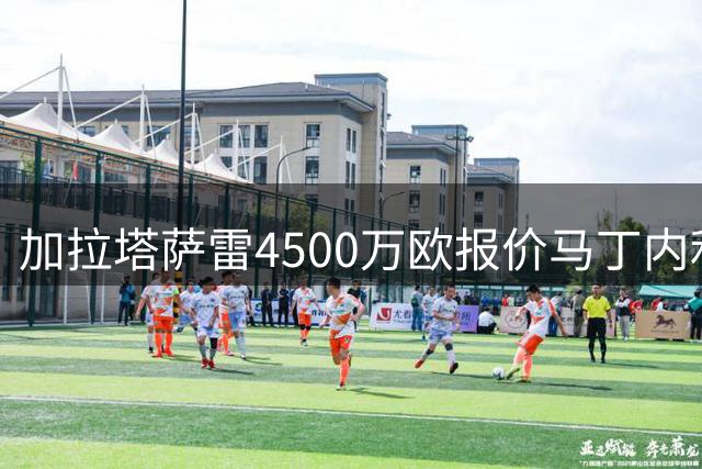 加拉塔萨雷4500万欧报价马丁内利