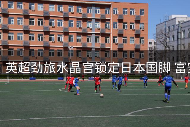 英超劲旅水晶宫锁定日本国脚 富安健洋成萨热时代关键拼图